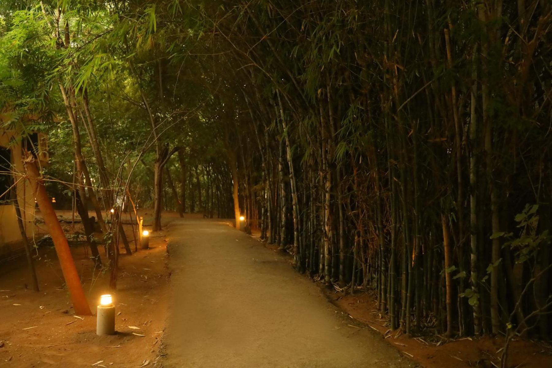Rājgarh Panna Tiger Resort- Riverside Property מראה חיצוני תמונה